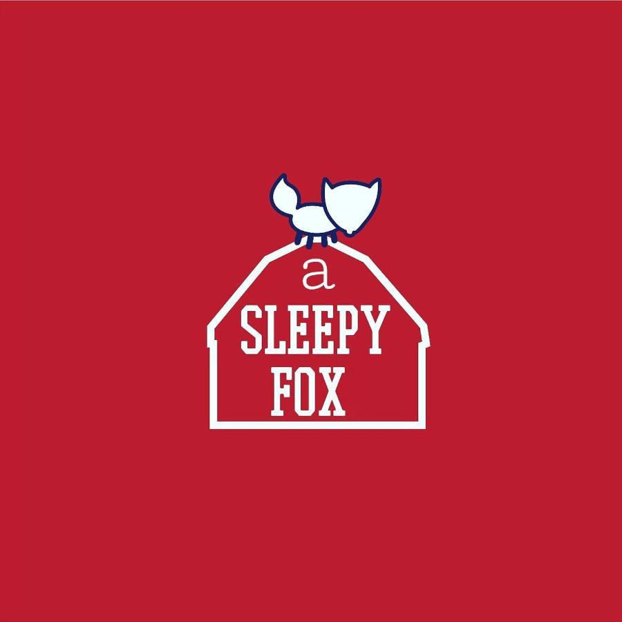 A Sleepy Fox Hostel นิวเดลี ภายนอก รูปภาพ